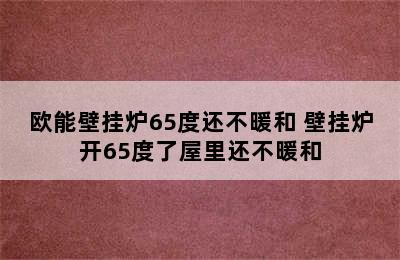 欧能壁挂炉65度还不暖和 壁挂炉开65度了屋里还不暖和